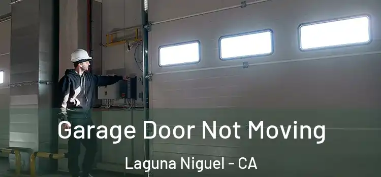  Garage Door Not Moving Laguna Niguel - CA