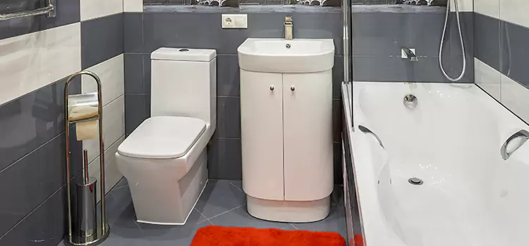 Hansgrohe Shaving Mirror Laguna Niguel